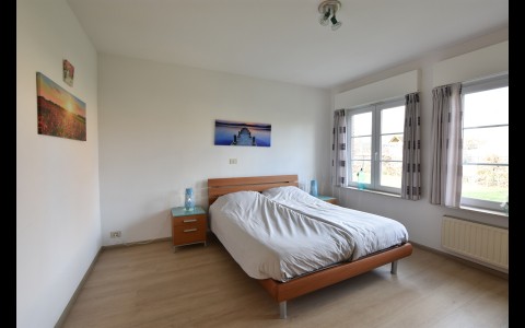 Vogel 031.JPG